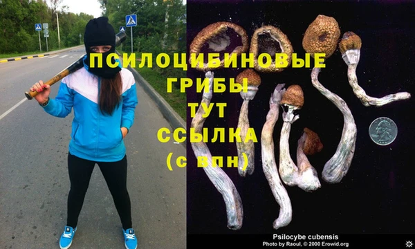 кокаин премиум Алзамай