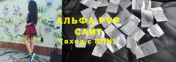 крисы Алексин
